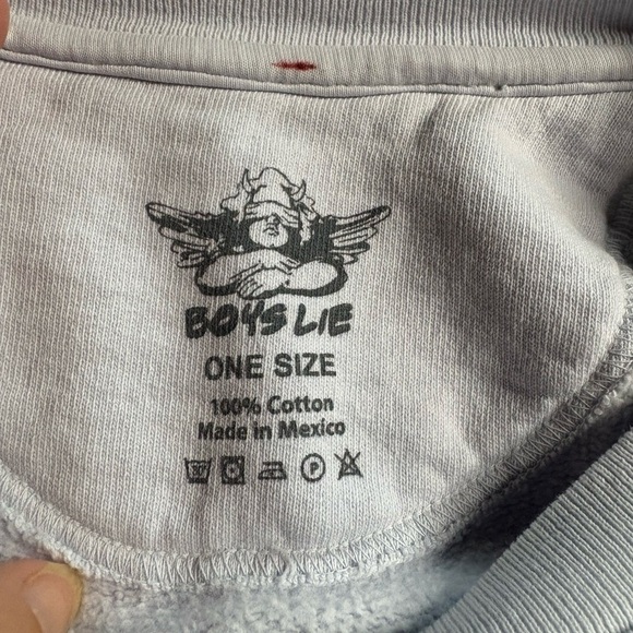 EUC Boys Lie- What Is True Love Crewneck Sweatshirt. Size One Size - Picture 6 of 8